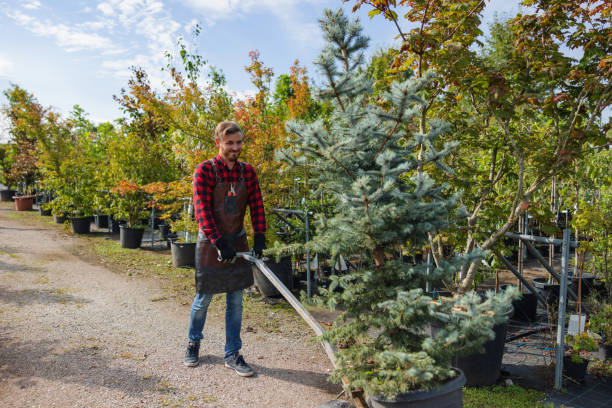 Best Root Management and Removal  in Newark, DE